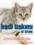 Kedi Bakımı
